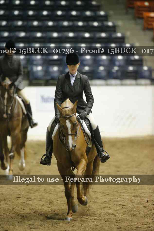 Proof 15BUCK_01736