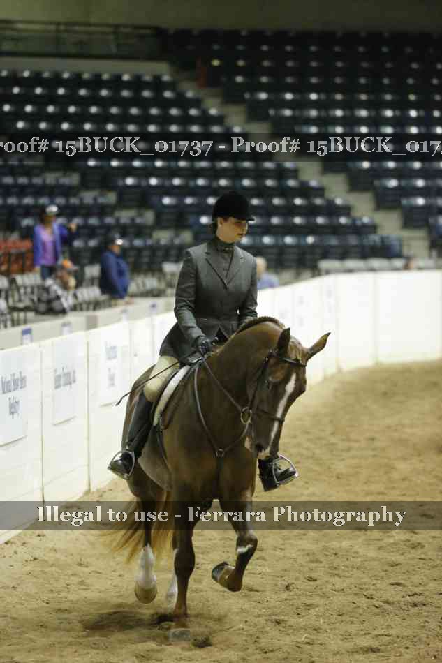 Proof 15BUCK_01737