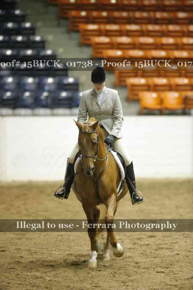 Proof 15BUCK_01738