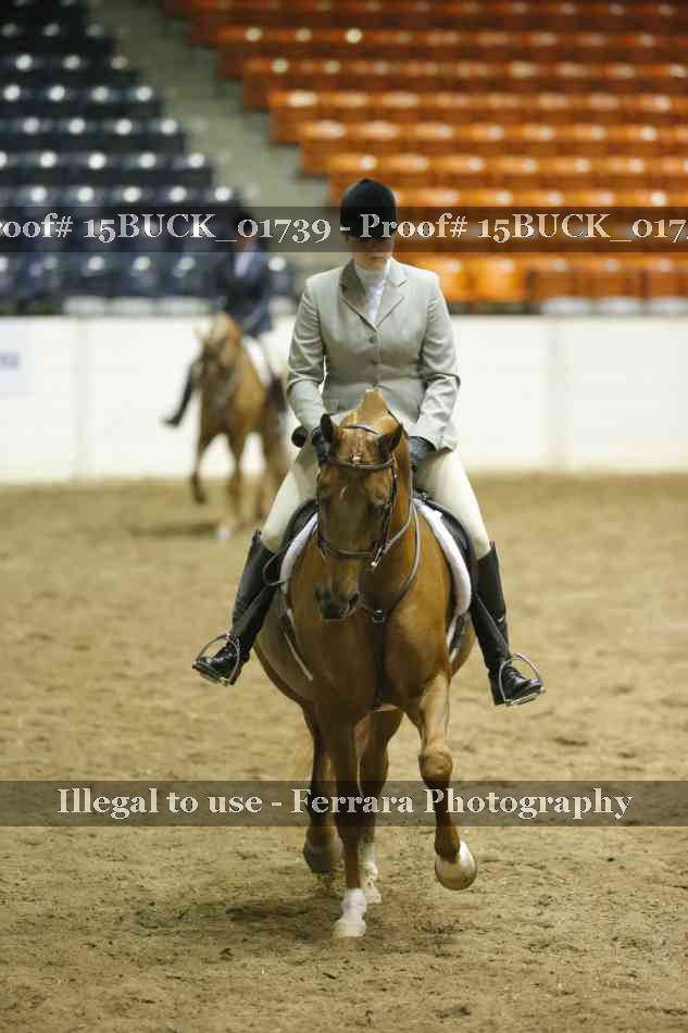 Proof 15BUCK_01739