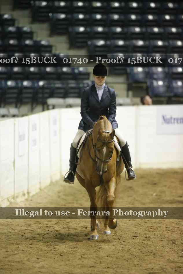 Proof 15BUCK_01740