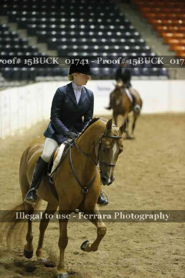 Proof 15BUCK_01741