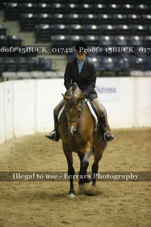 Proof 15BUCK_01742