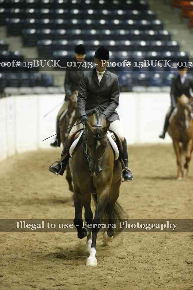 Proof 15BUCK_01743