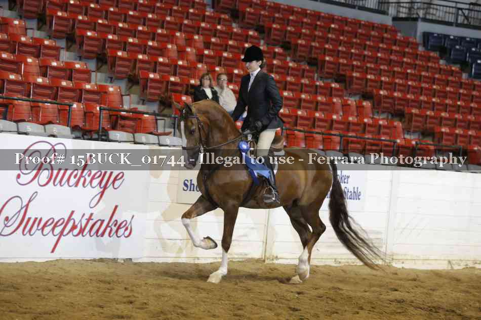 Proof 15BUCK_01744