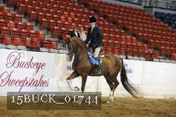 15BUCK_01744 proof