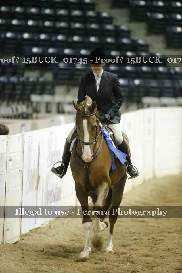 Proof 15BUCK_01745