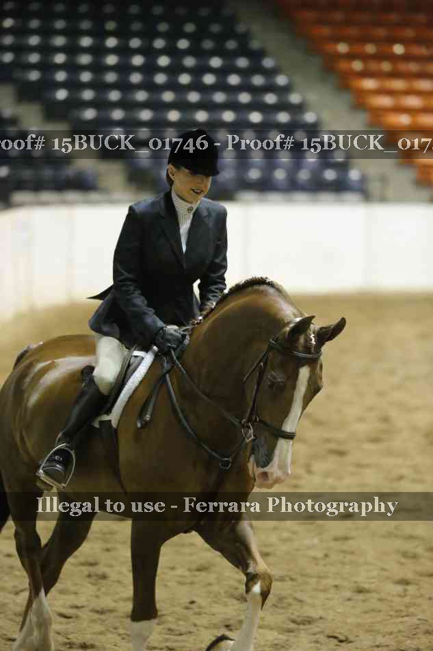 Proof 15BUCK_01746