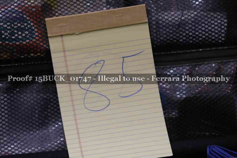 Proof 15BUCK_01747