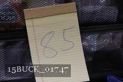 15BUCK_01747 proof