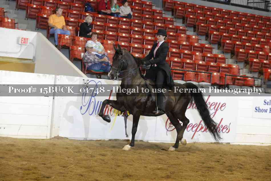 Proof 15BUCK_01748