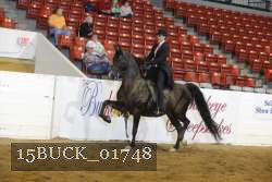 15BUCK_01748 proof