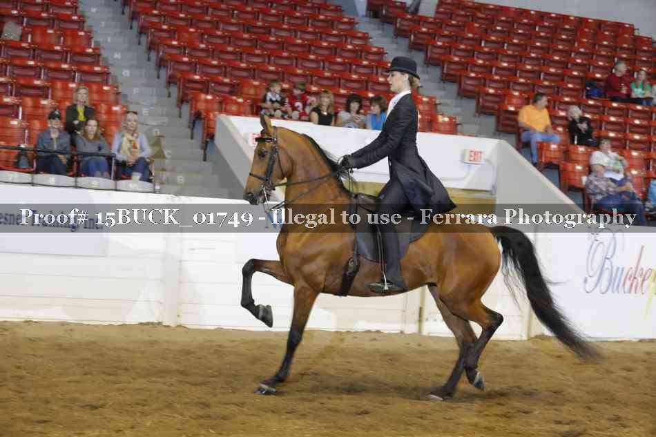 Proof 15BUCK_01749