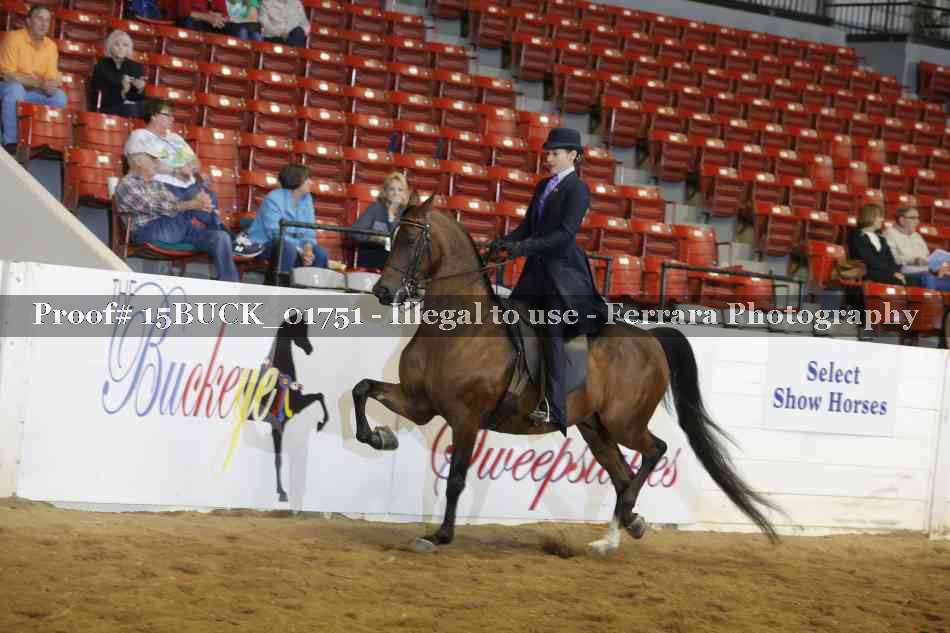 Proof 15BUCK_01751
