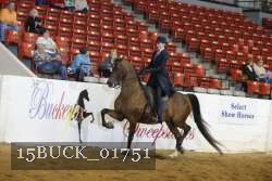 15BUCK_01751 proof