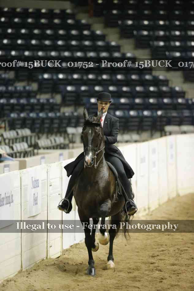 Proof 15BUCK_01752