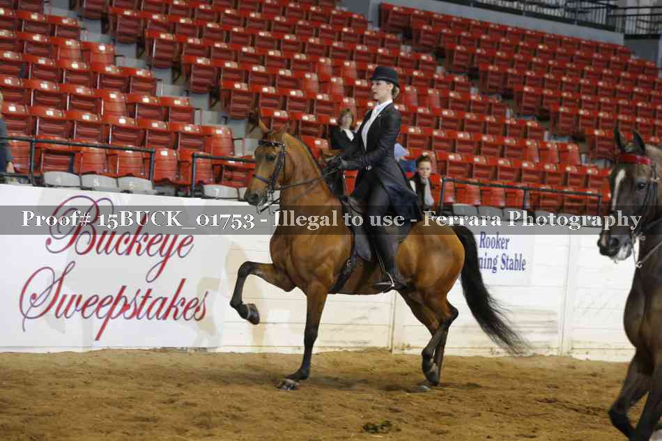 Proof 15BUCK_01753