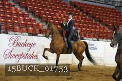 15BUCK_01753 proof