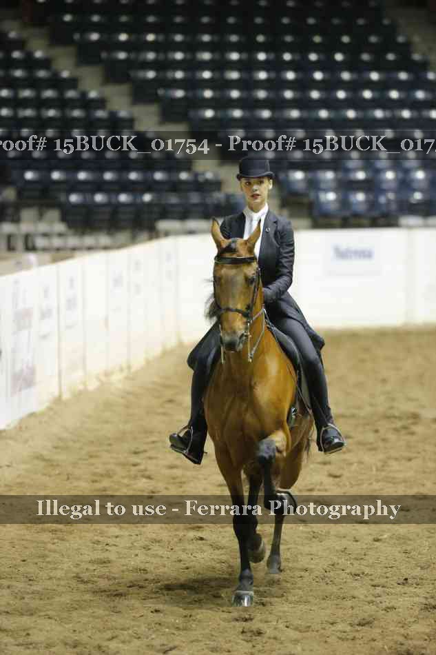 Proof 15BUCK_01754