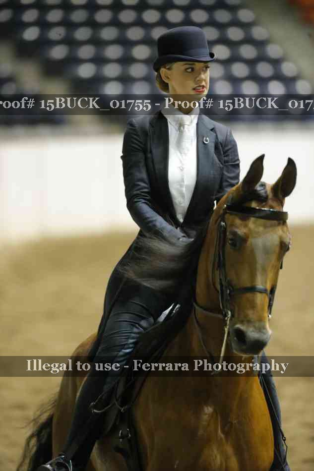 Proof 15BUCK_01755