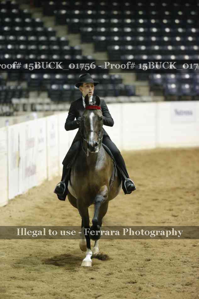 Proof 15BUCK_01756