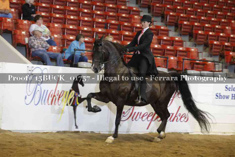 Proof 15BUCK_01757