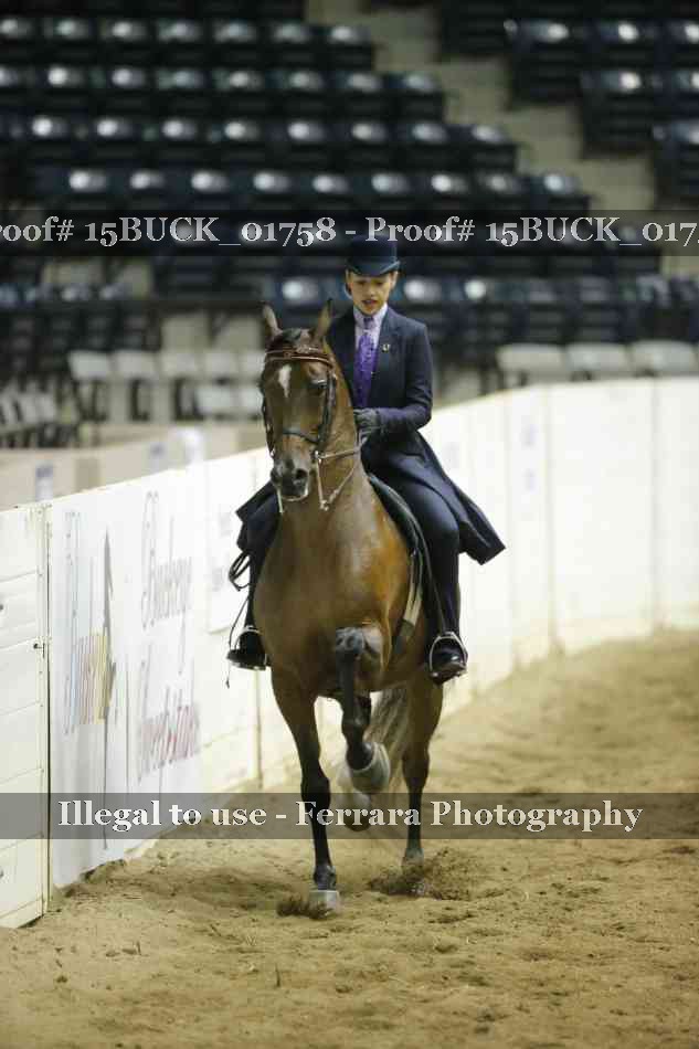 Proof 15BUCK_01758
