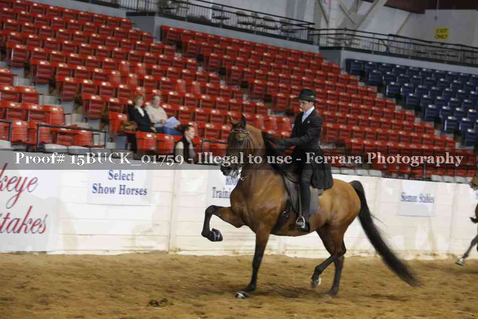 Proof 15BUCK_01759