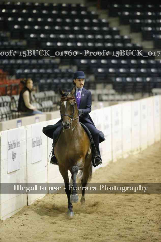 Proof 15BUCK_01760