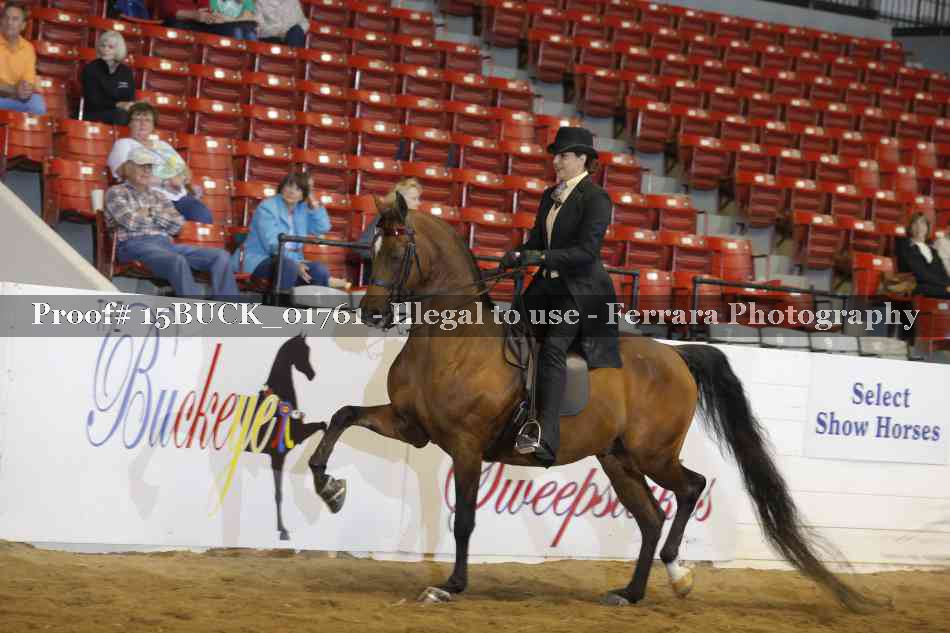 Proof 15BUCK_01761