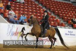 15BUCK_01761 proof