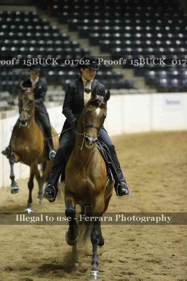 Proof 15BUCK_01762