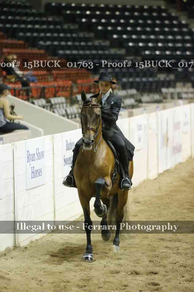 Proof 15BUCK_01763