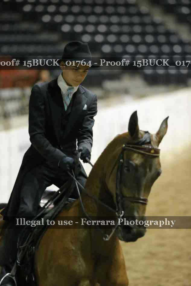 Proof 15BUCK_01764