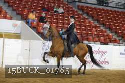 15BUCK_01765 proof