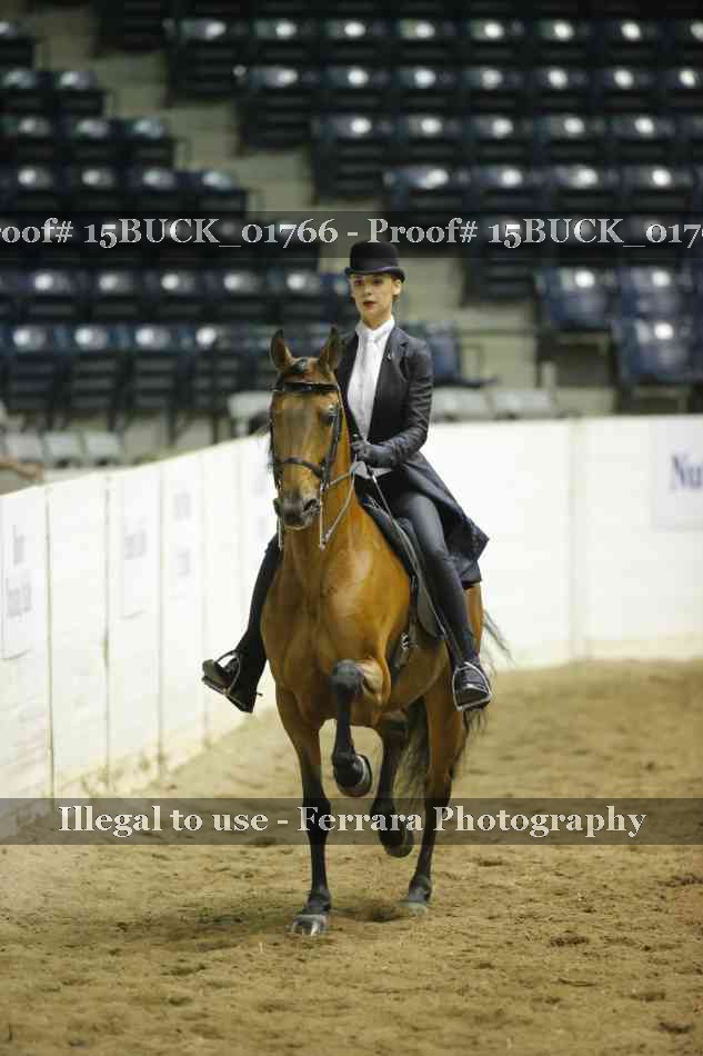 Proof 15BUCK_01766