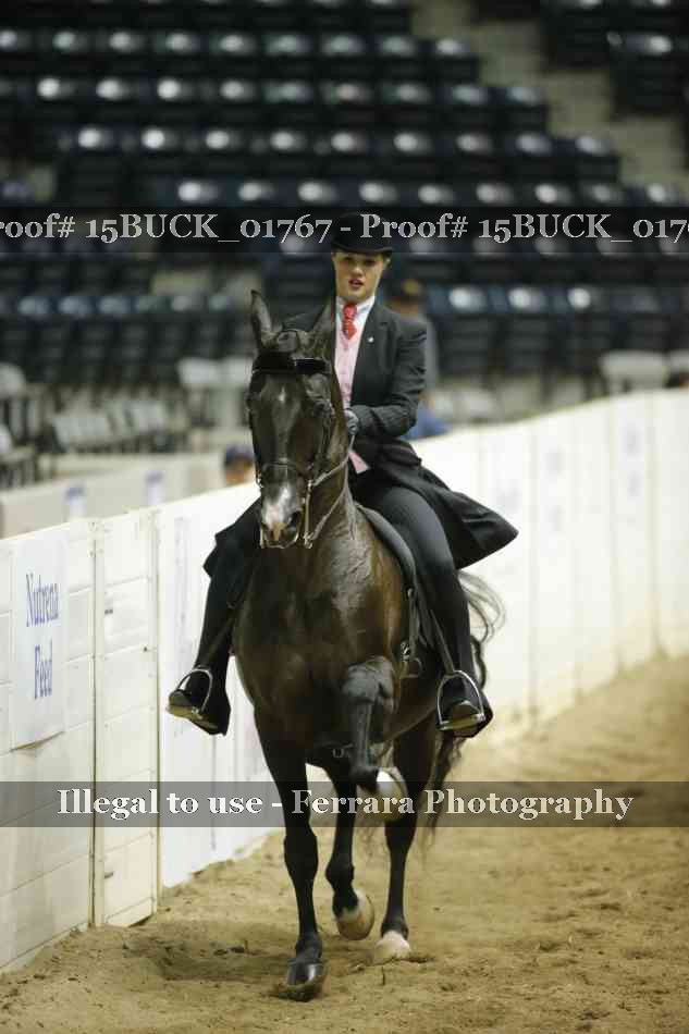 Proof 15BUCK_01767