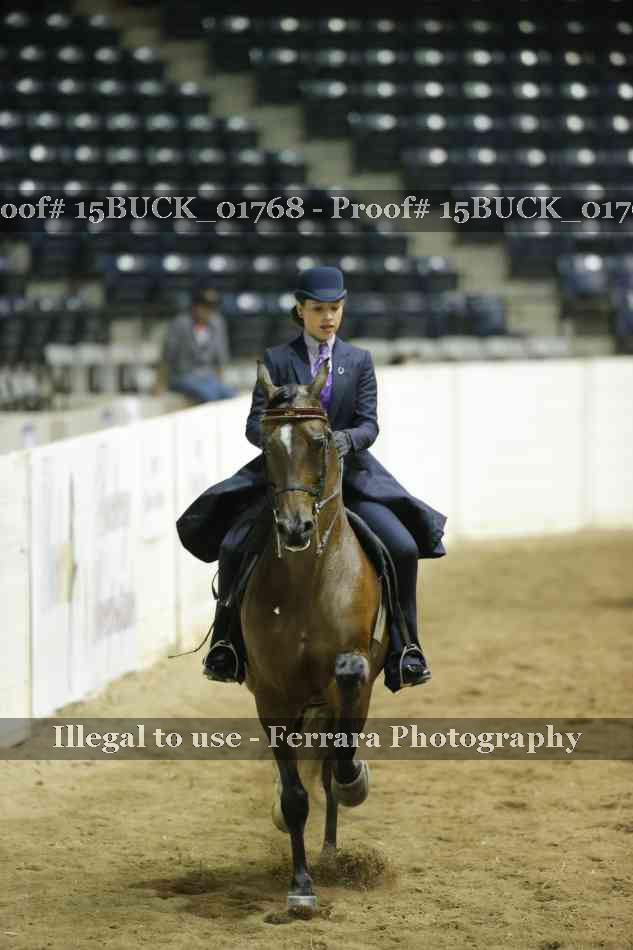 Proof 15BUCK_01768