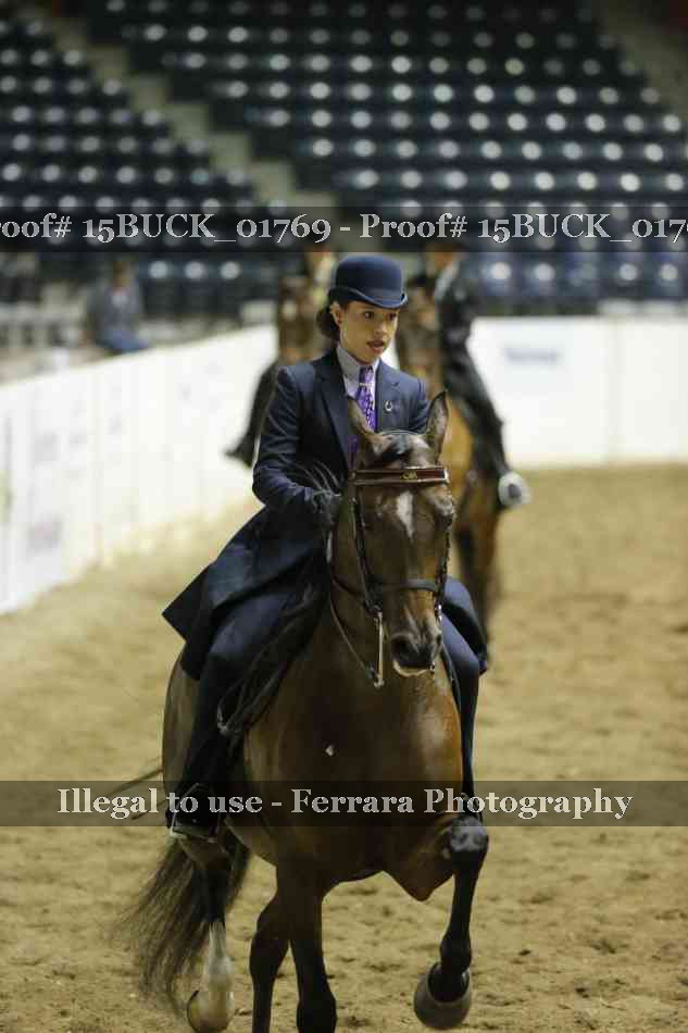 Proof 15BUCK_01769