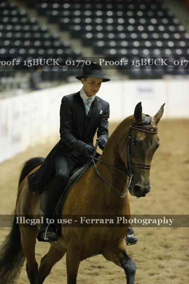Proof 15BUCK_01770