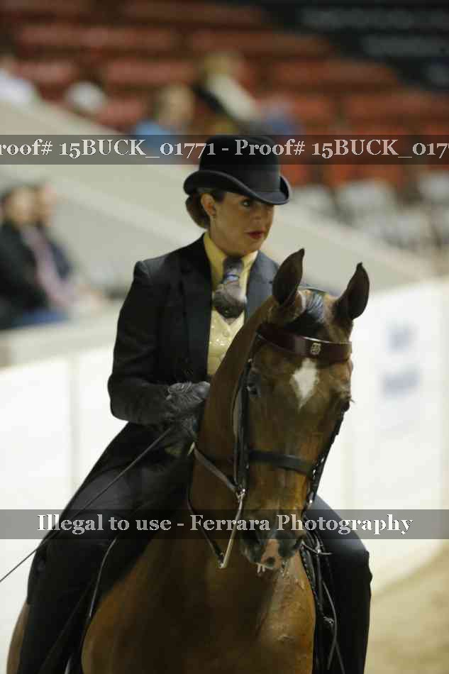 Proof 15BUCK_01771