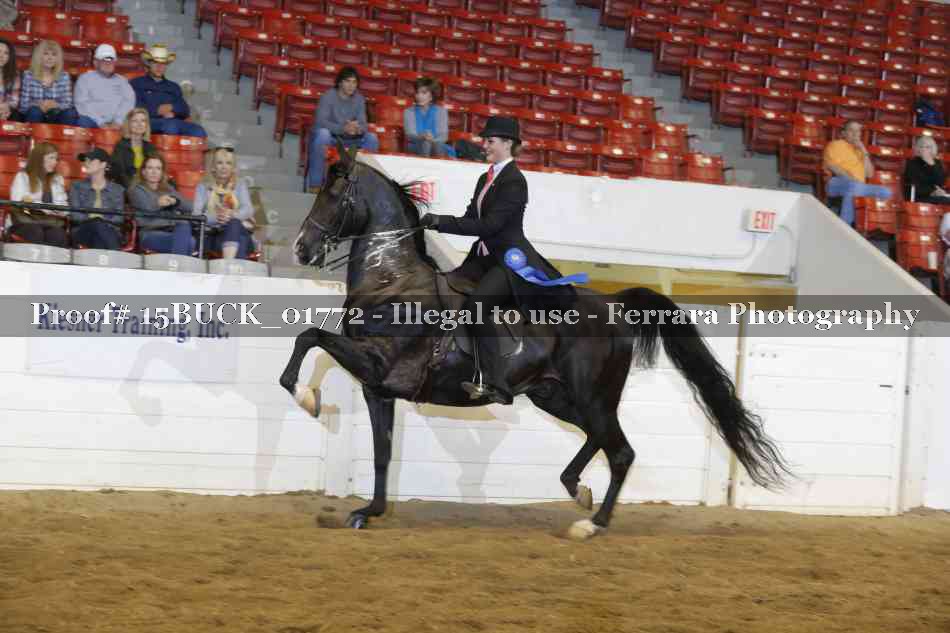 Proof 15BUCK_01772