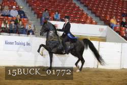 15BUCK_01772 proof