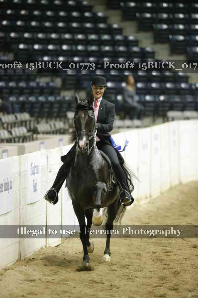 Proof 15BUCK_01773