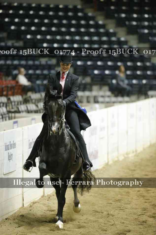 Proof 15BUCK_01774