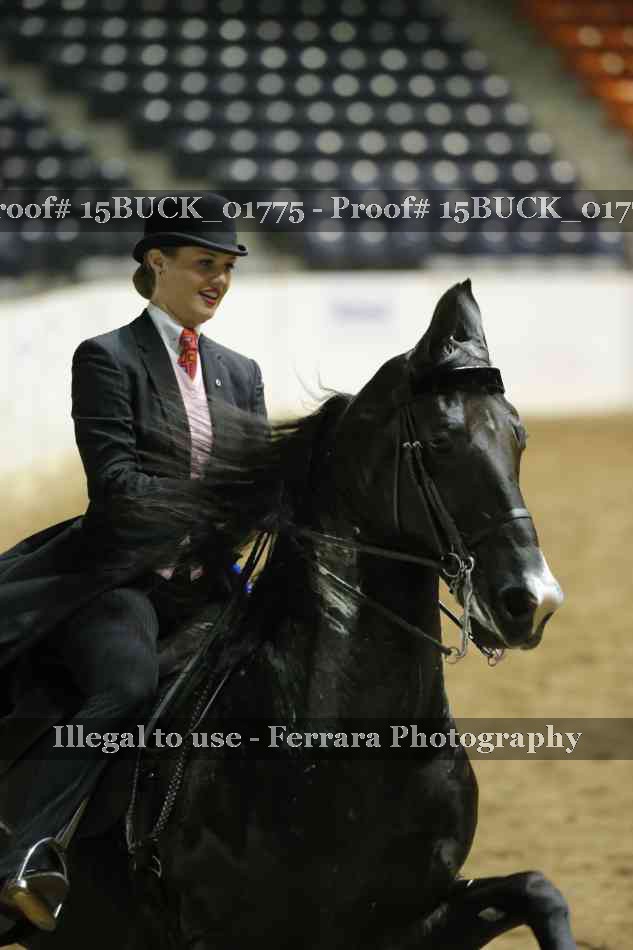 Proof 15BUCK_01775