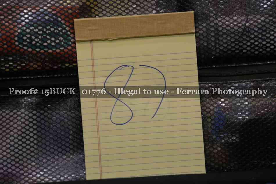 Proof 15BUCK_01776