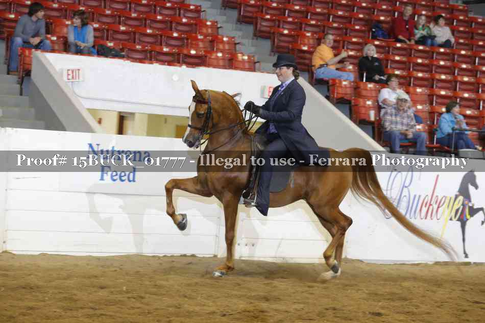 Proof 15BUCK_01777