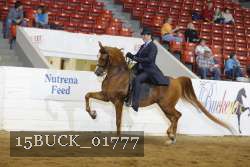 15BUCK_01777 proof