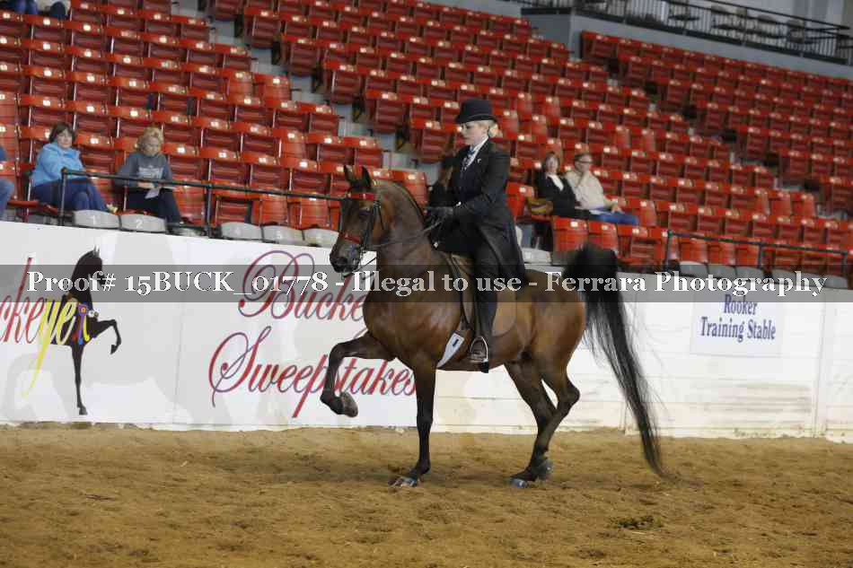Proof 15BUCK_01778